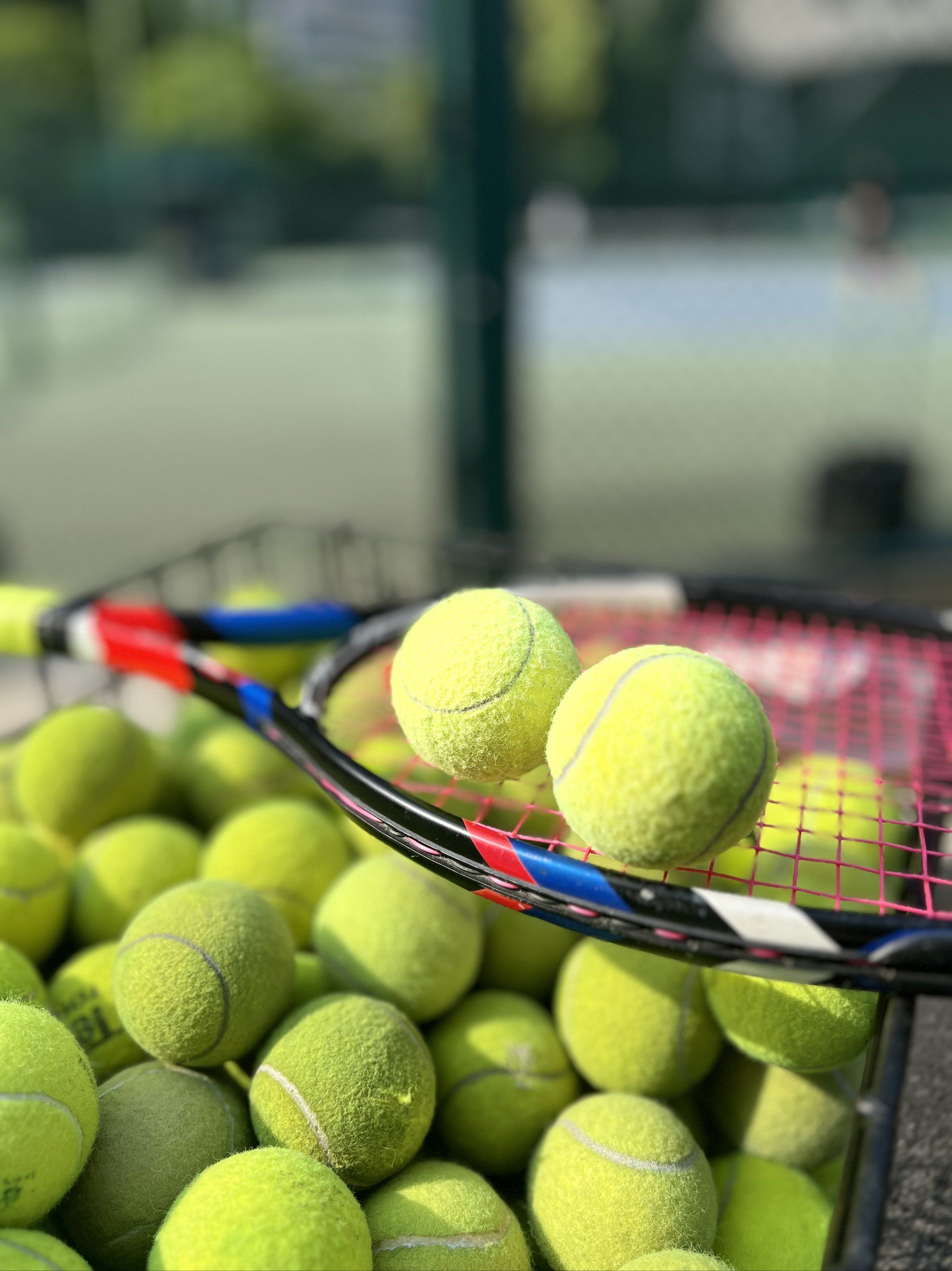 也提升了整 也提升了整