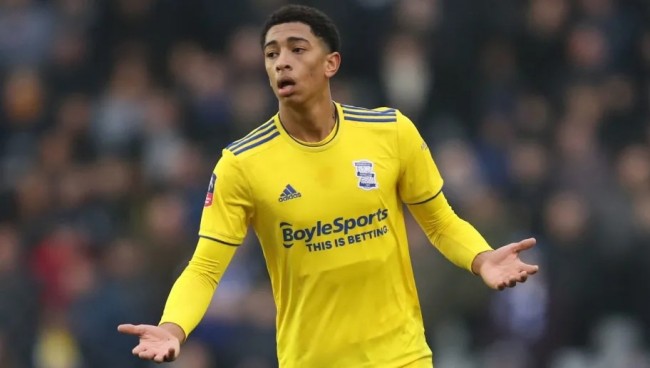 将生存乐趣 将生存乐趣